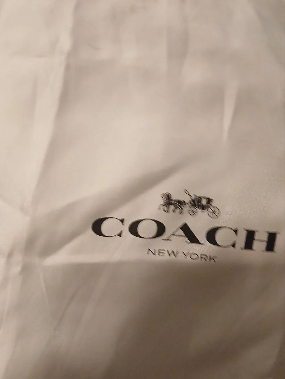Coach stylish pale